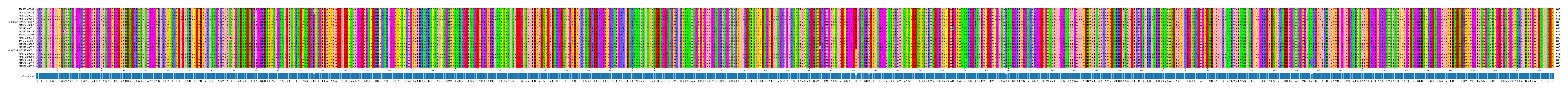 Multiple Alignments (by translate haplotype similarity)