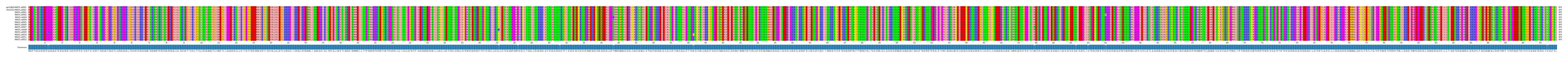 Multiple Alignments (by translate haplotype frequency)