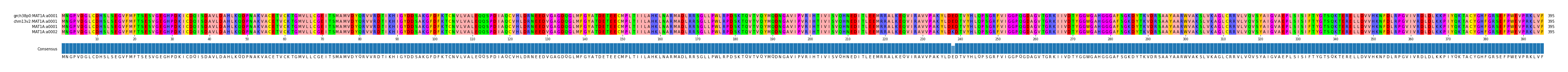 Multiple Alignments (by translate haplotype similarity)