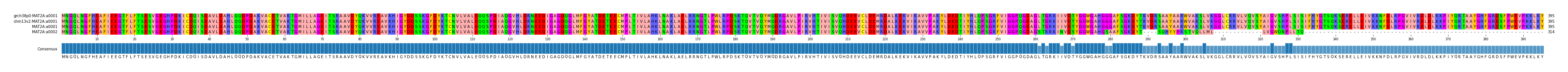 Multiple Alignments (by translate haplotype similarity)