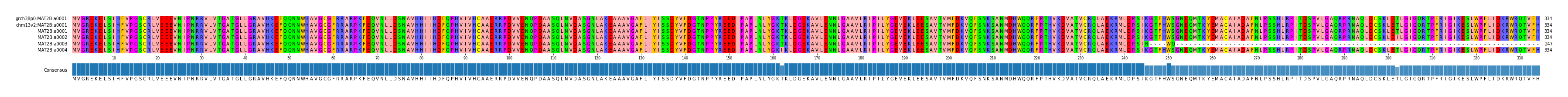 Multiple Alignments (by translate haplotype frequency)
