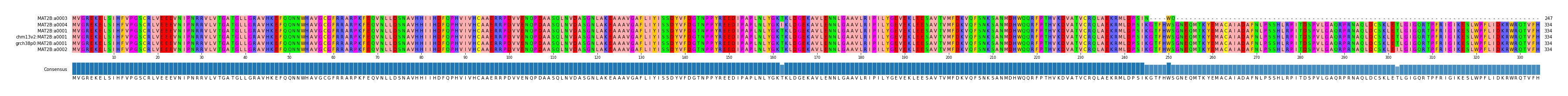 Multiple Alignments (by translate haplotype similarity)