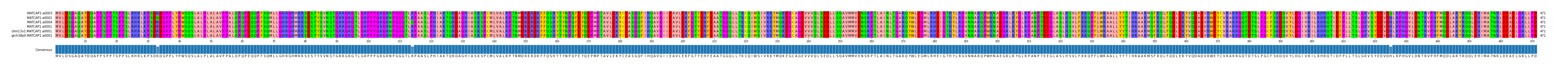 Multiple Alignments (by translate haplotype similarity)