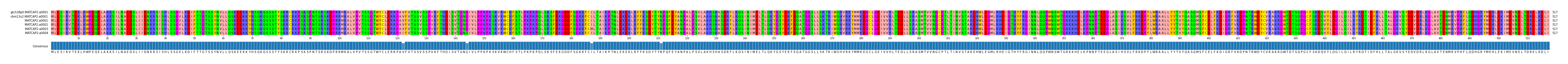 Multiple Alignments (by translate haplotype frequency)