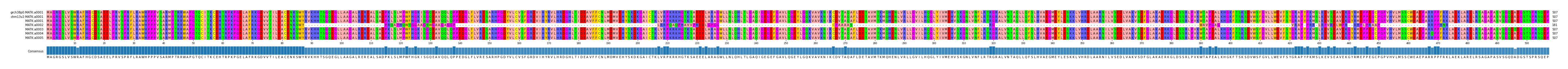 Multiple Alignments (by translate haplotype frequency)