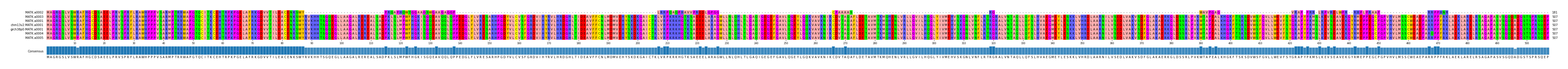 Multiple Alignments (by translate haplotype similarity)