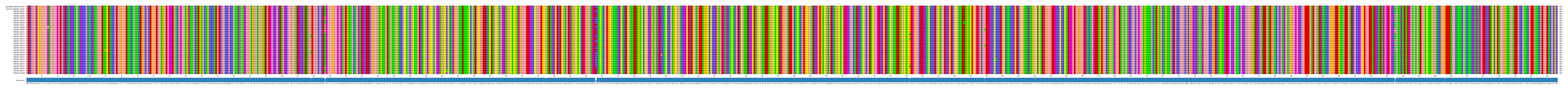 Multiple Alignments (by translate haplotype frequency)