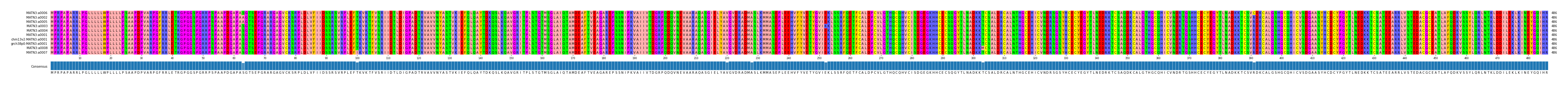 Multiple Alignments (by translate haplotype similarity)