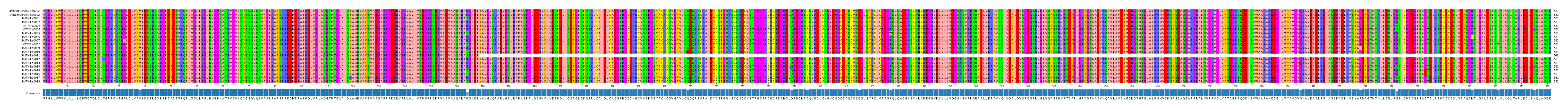 Multiple Alignments (by translate haplotype frequency)