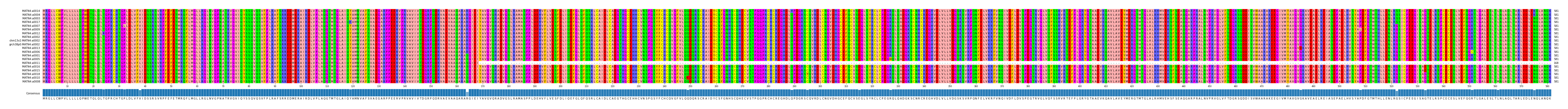 Multiple Alignments (by translate haplotype similarity)