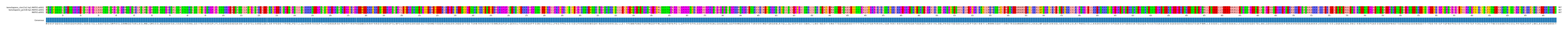 Multiple Alignments (by translate haplotype frequency)