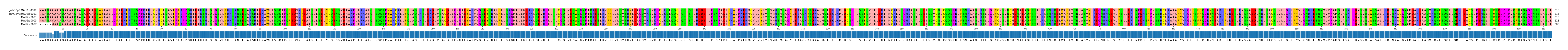 Multiple Alignments (by translate haplotype similarity)