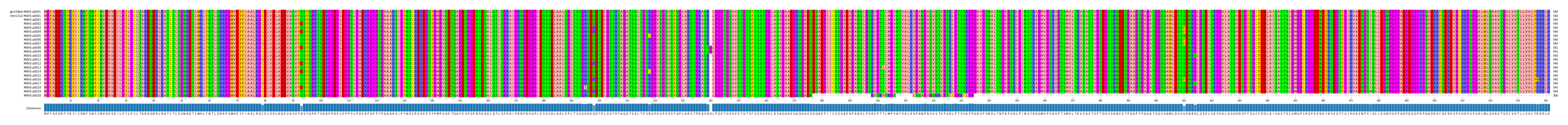 Multiple Alignments (by translate haplotype frequency)