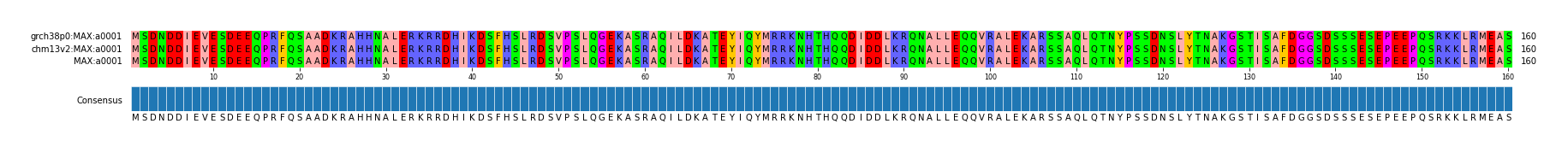 Multiple Alignments (by translate haplotype similarity)