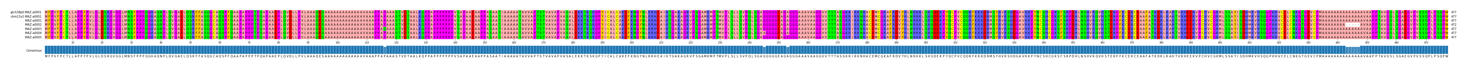 Multiple Alignments (by translate haplotype frequency)