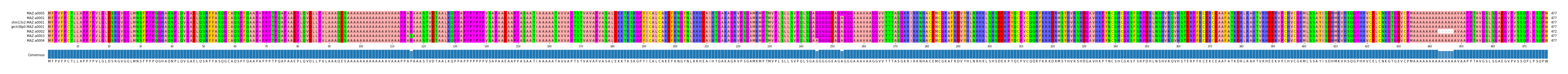 Multiple Alignments (by translate haplotype similarity)