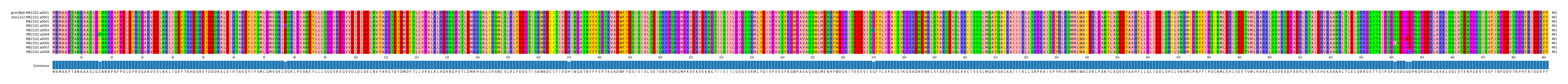Multiple Alignments (by translate haplotype frequency)