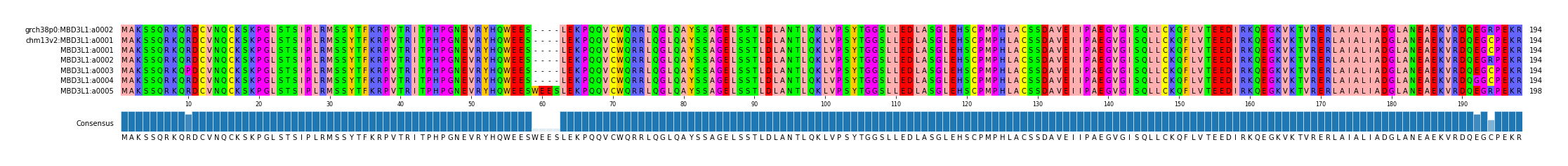 Multiple Alignments (by translate haplotype frequency)