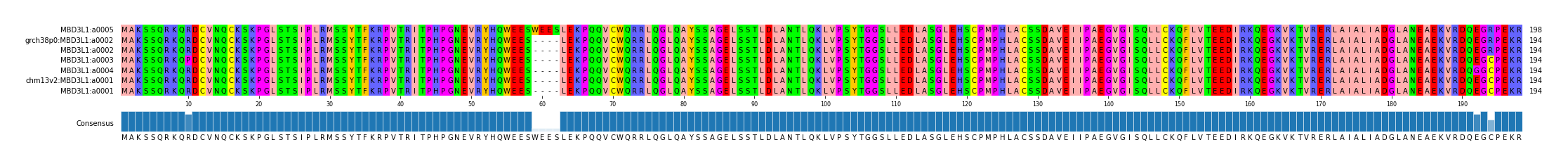 Multiple Alignments (by translate haplotype similarity)