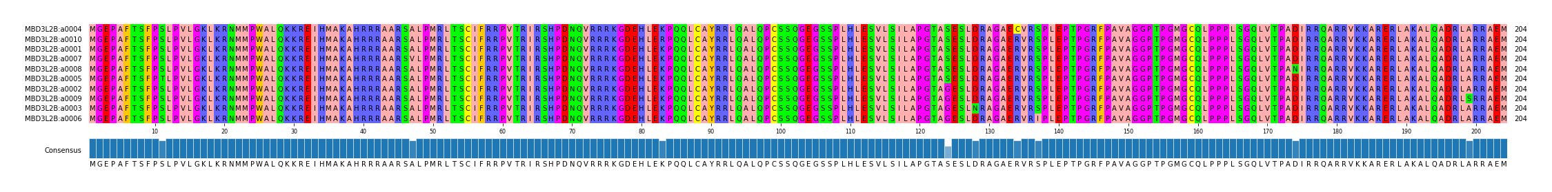 Multiple Alignments (by translate haplotype similarity)
