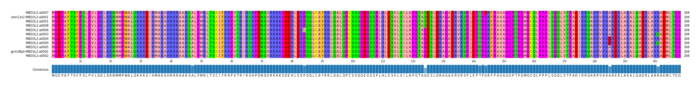 Multiple Alignments (by translate haplotype similarity)