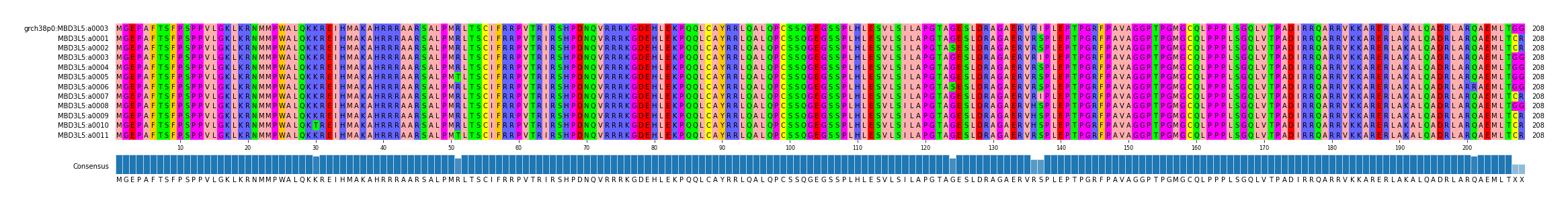 Multiple Alignments (by translate haplotype frequency)