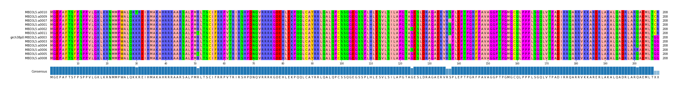 Multiple Alignments (by translate haplotype similarity)
