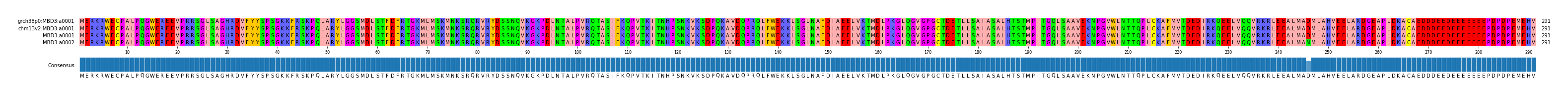 Multiple Alignments (by translate haplotype similarity)