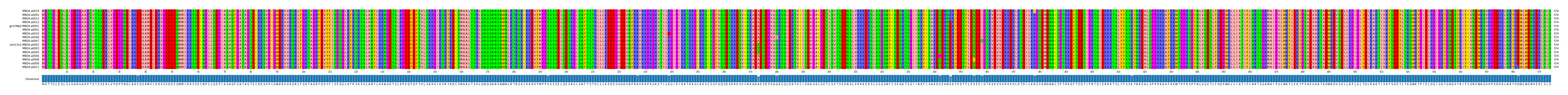 Multiple Alignments (by translate haplotype similarity)