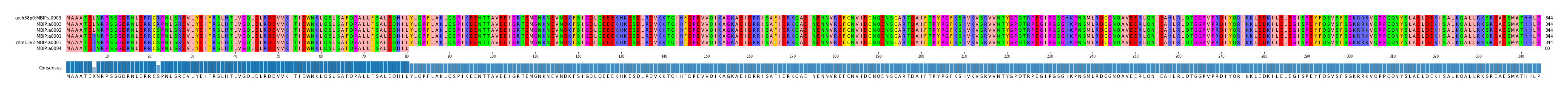 Multiple Alignments (by translate haplotype similarity)