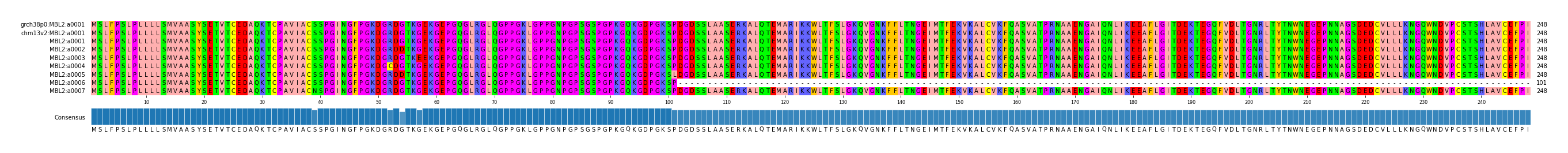 Multiple Alignments (by translate haplotype frequency)
