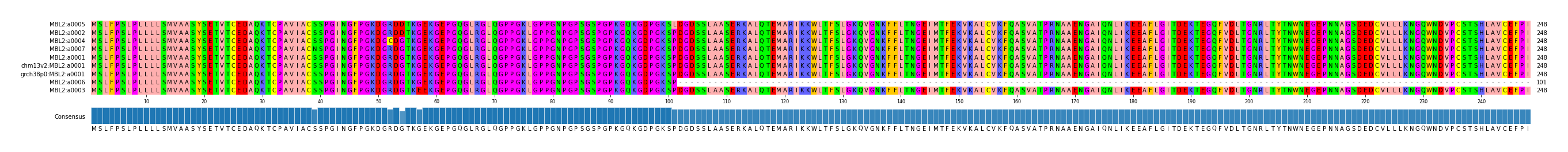 Multiple Alignments (by translate haplotype similarity)