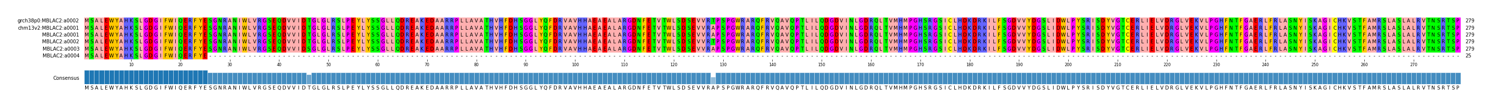 Multiple Alignments (by translate haplotype frequency)