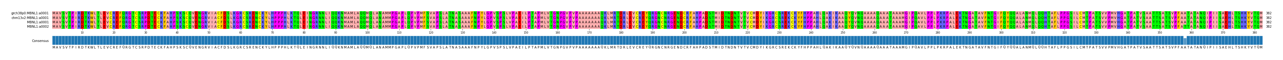 Multiple Alignments (by translate haplotype similarity)