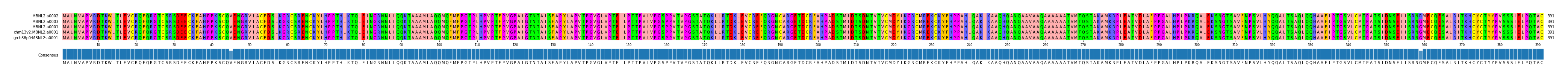 Multiple Alignments (by translate haplotype similarity)