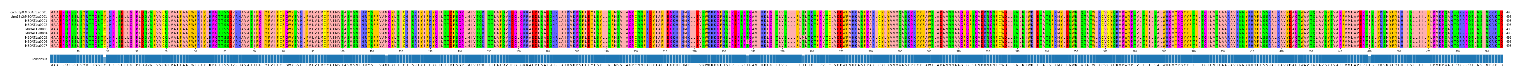 Multiple Alignments (by translate haplotype frequency)