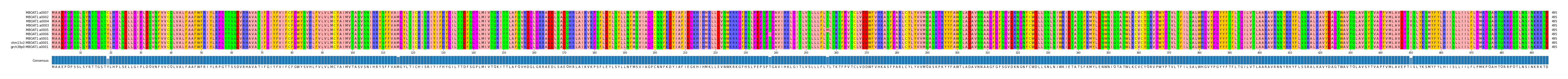 Multiple Alignments (by translate haplotype similarity)