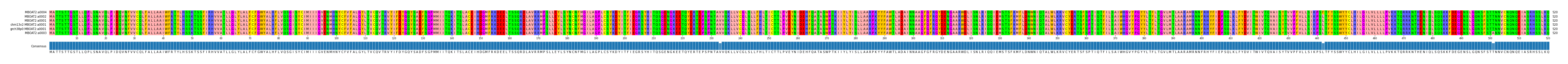 Multiple Alignments (by translate haplotype similarity)