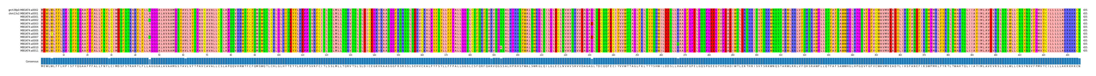 Multiple Alignments (by translate haplotype frequency)