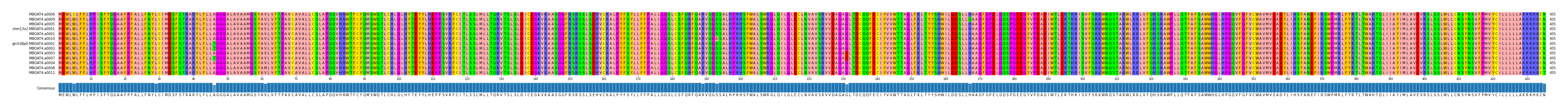 Multiple Alignments (by translate haplotype similarity)