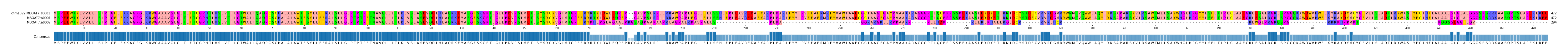 Multiple Alignments (by translate haplotype similarity)