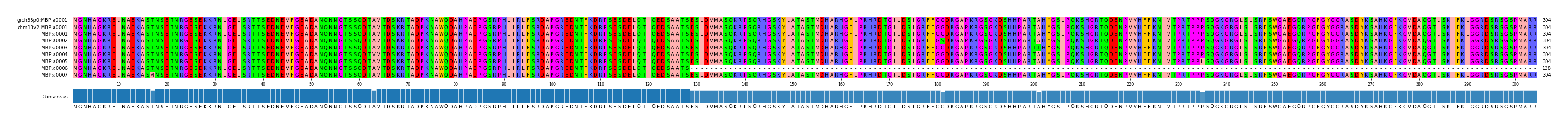 Multiple Alignments (by translate haplotype frequency)