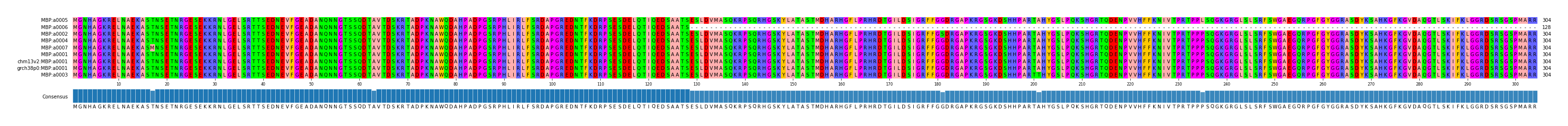 Multiple Alignments (by translate haplotype similarity)