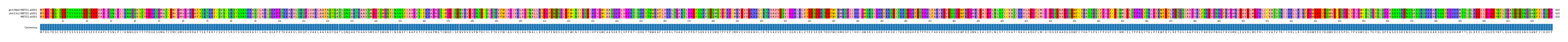 Multiple Alignments (by translate haplotype similarity)