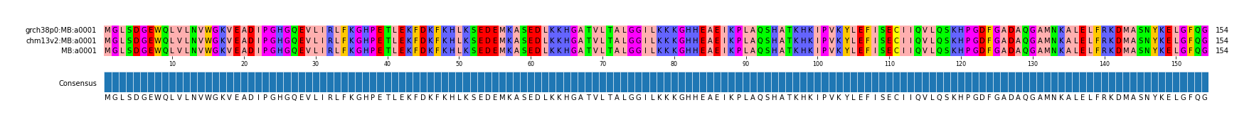Multiple Alignments (by translate haplotype similarity)