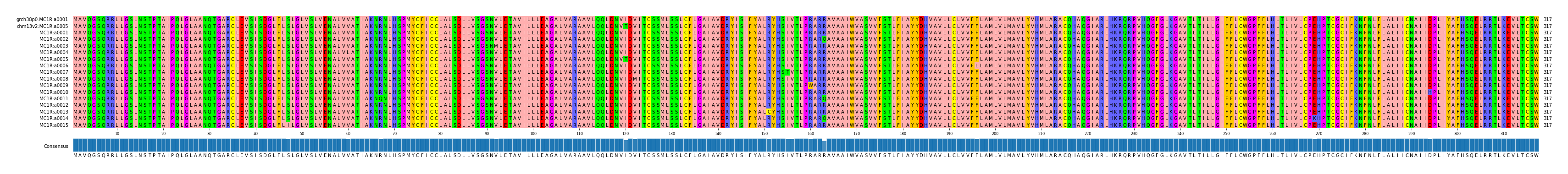 Multiple Alignments (by translate haplotype frequency)