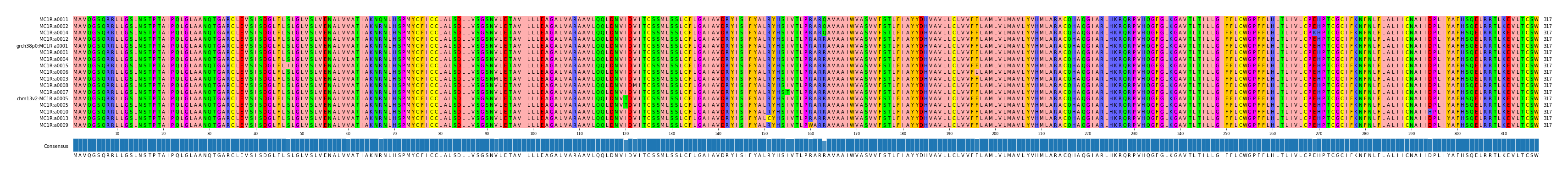 Multiple Alignments (by translate haplotype similarity)