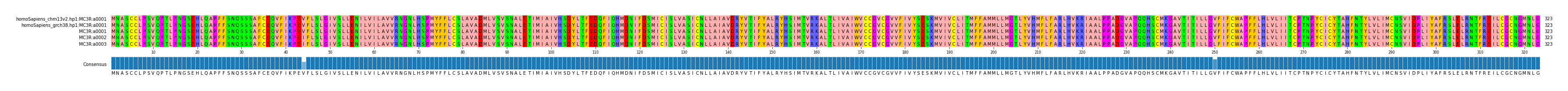Multiple Alignments (by translate haplotype similarity)
