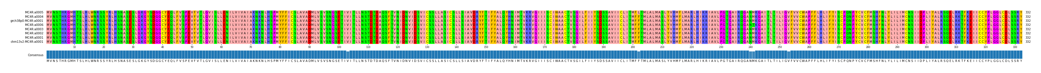 Multiple Alignments (by translate haplotype similarity)