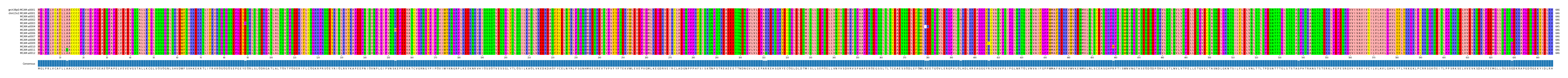 Multiple Alignments (by translate haplotype frequency)